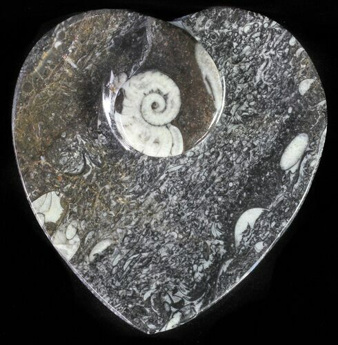 Heart Shaped Fossil Goniatite Dish #61274